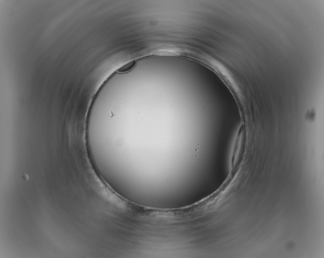 X0000091991194200709201441
