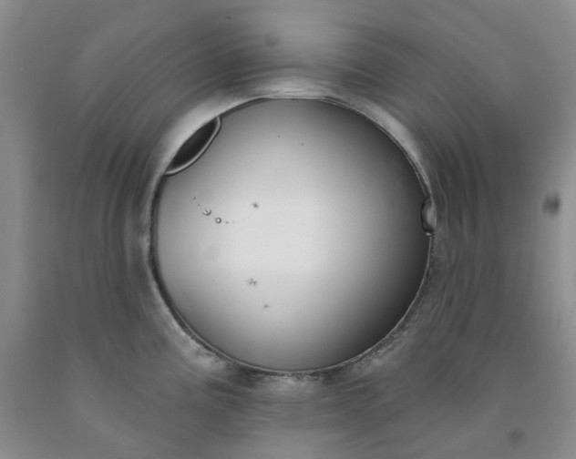 X0000091991195200709201441
