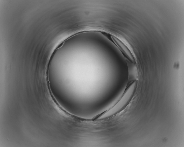X0000091991197200709201441