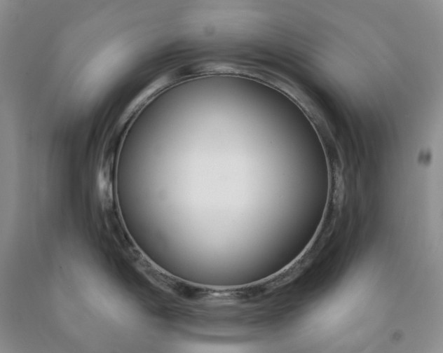 X0000091991198200709201441