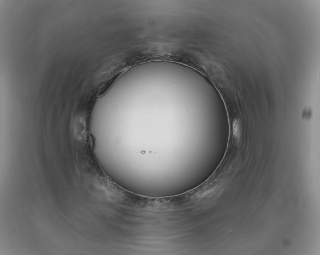 X0000091991203200709201440