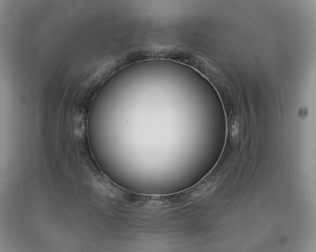 X0000091991204200709201441