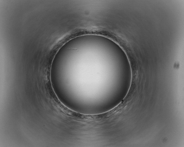 X0000091991205200709201441