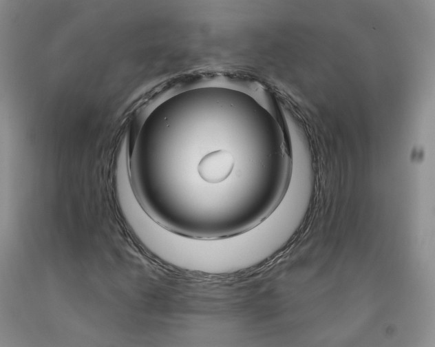 X0000091991206200709201441