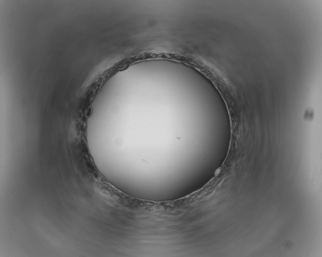 X0000091991207200709201441
