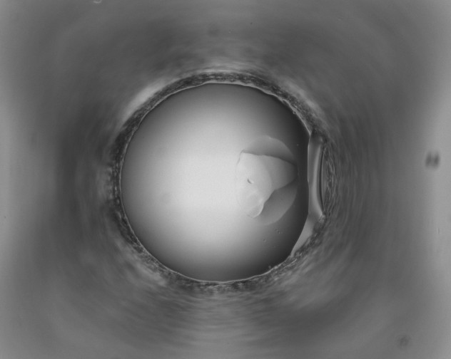 X0000091991208200709201441
