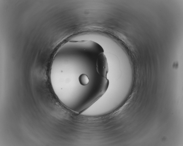 X0000091991209200709201441