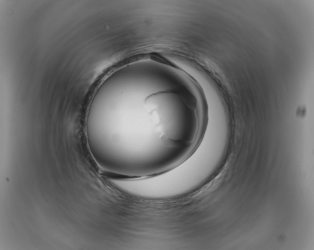 X0000091991210200709201441