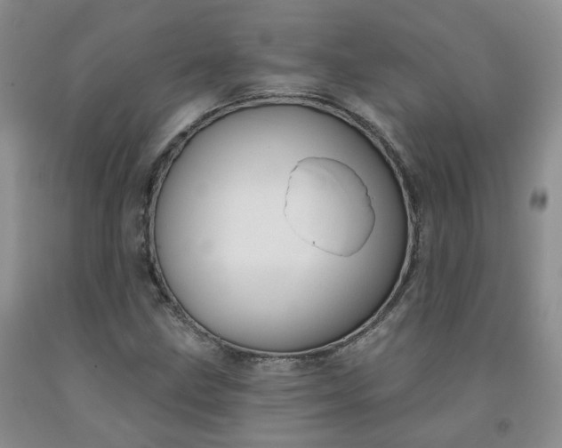 X0000091991211200709201441