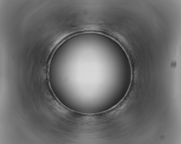 X0000091991212200709201441