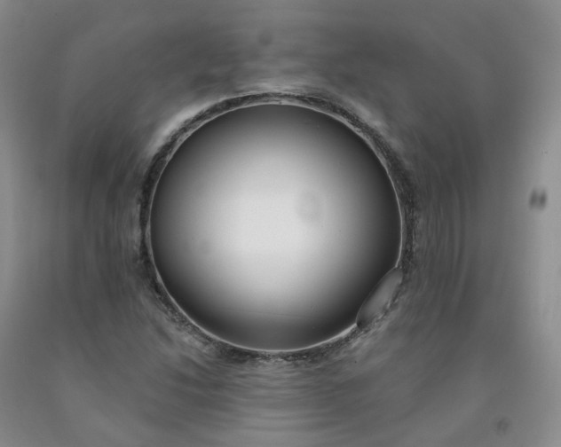 X0000091991214200709201441