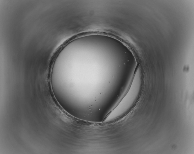 X0000091991216200709201441