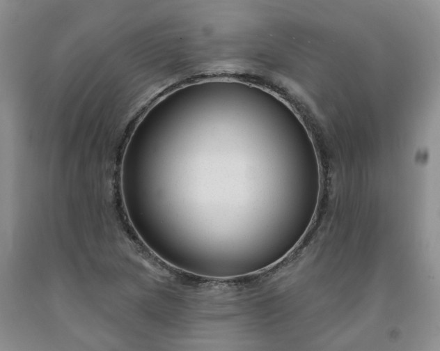 X0000091991217200709201441