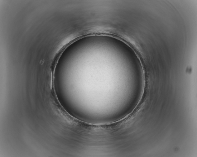 X0000091991219200709201441