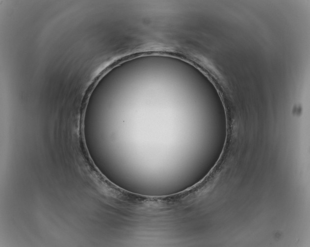 X0000091991220200709201441