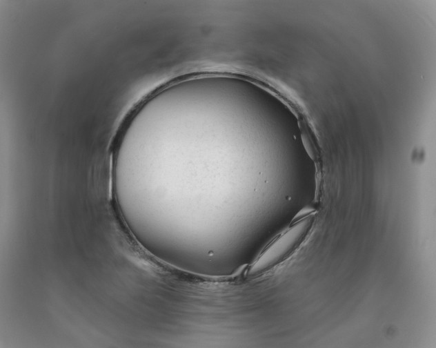 X0000091991223200709201441