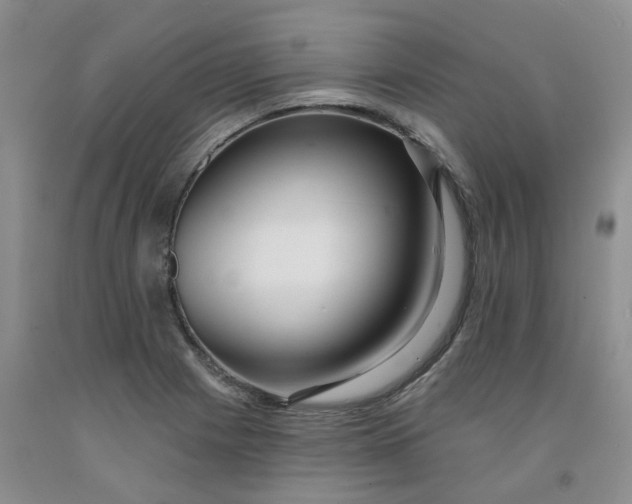X0000091991225200709201441