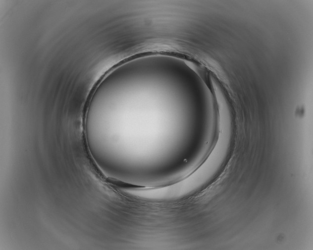 X0000091991226200709201441