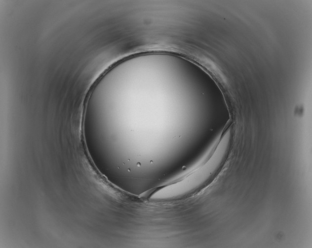 X0000091991228200709201441