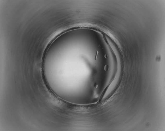 X0000091991229200709201441