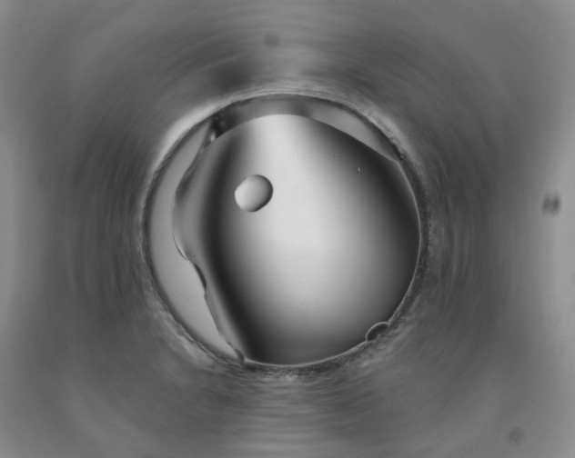 X0000091991230200709201441