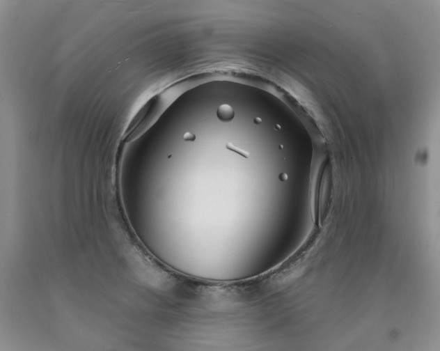 X0000091991234200709201441