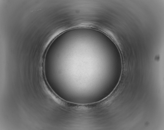 X0000091991235200709201441