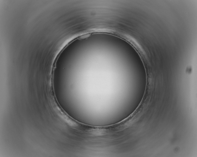 X0000091991236200709201441