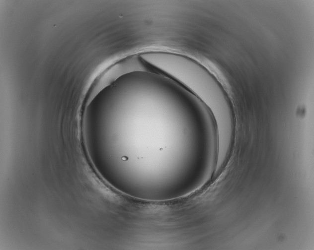 X0000091991238200709201441
