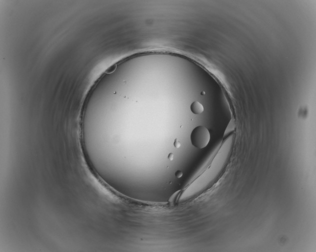 X0000091991239200709201441
