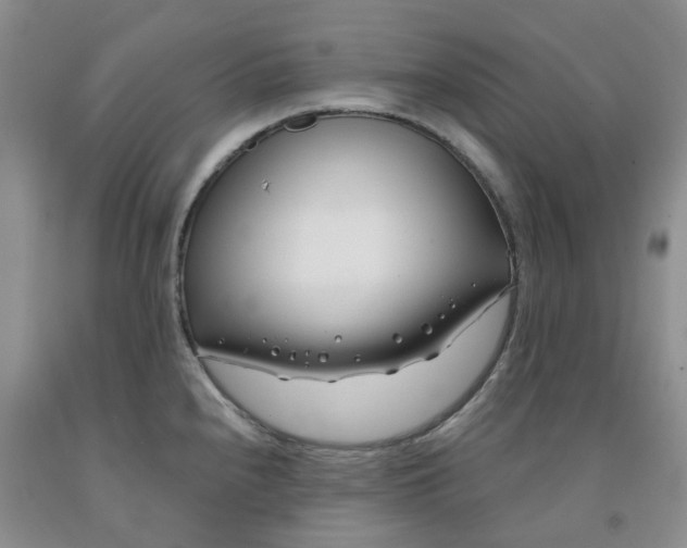 X0000091991240200709201441