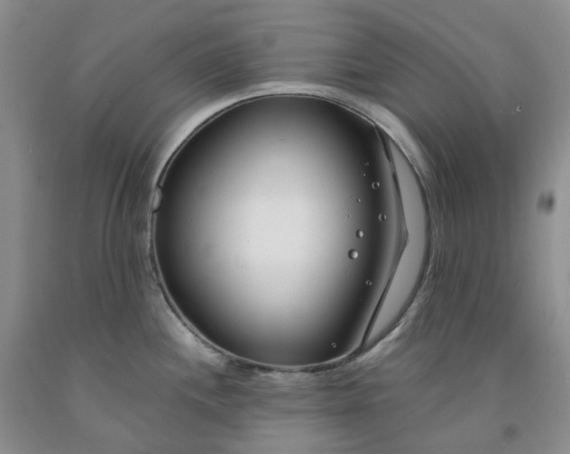 X0000091991244200709201441