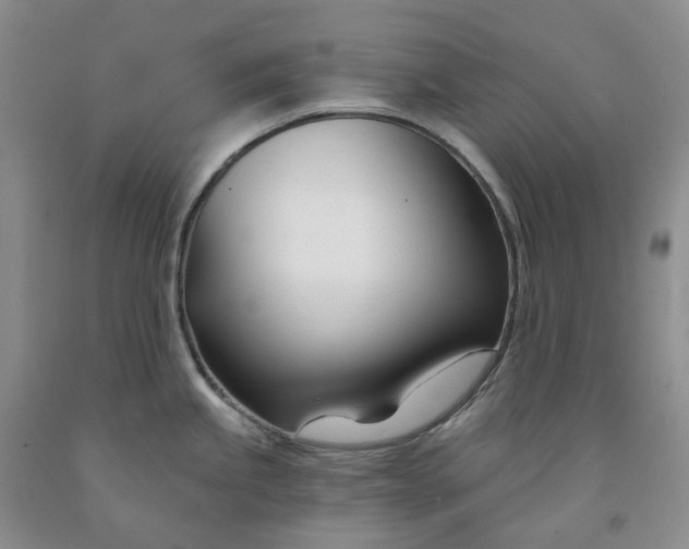 X0000091991245200709201441