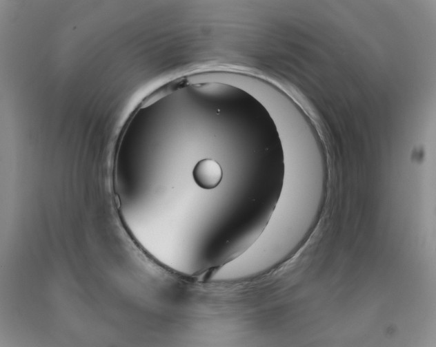 X0000091991246200709201441