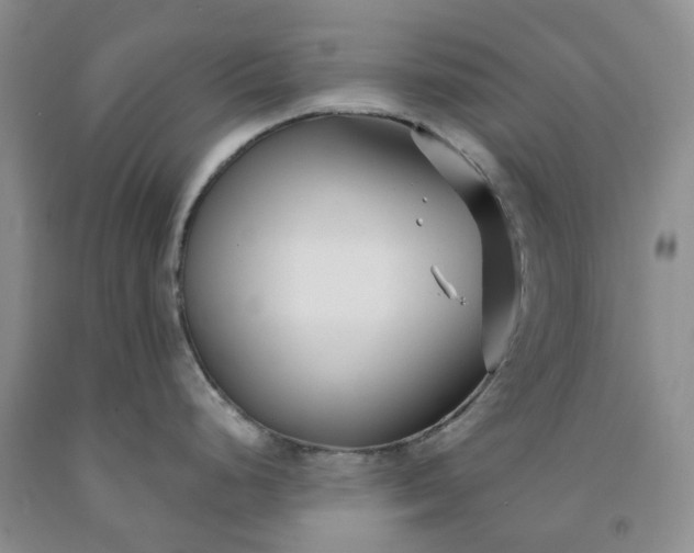 X0000091991248200709201441