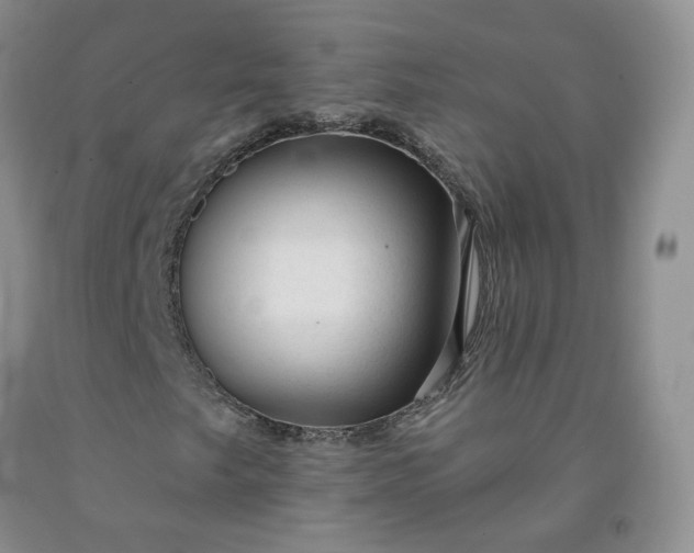 X0000091991249200709201440