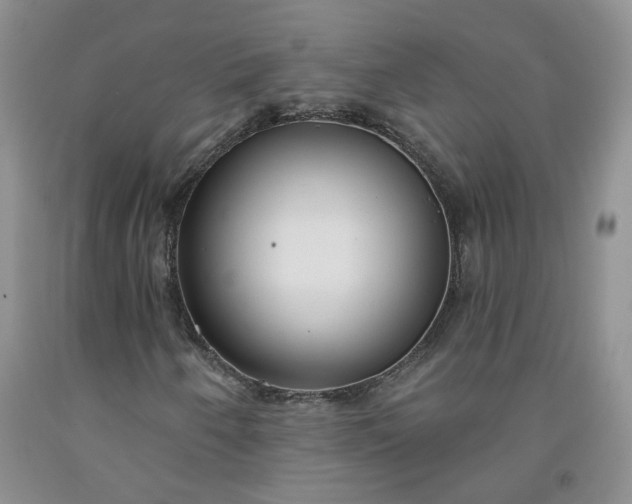 X0000091991250200709201440