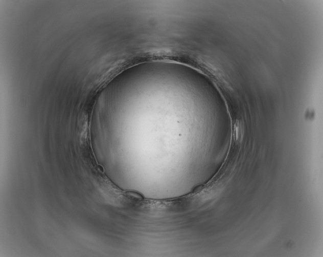 X0000091991251200709201440