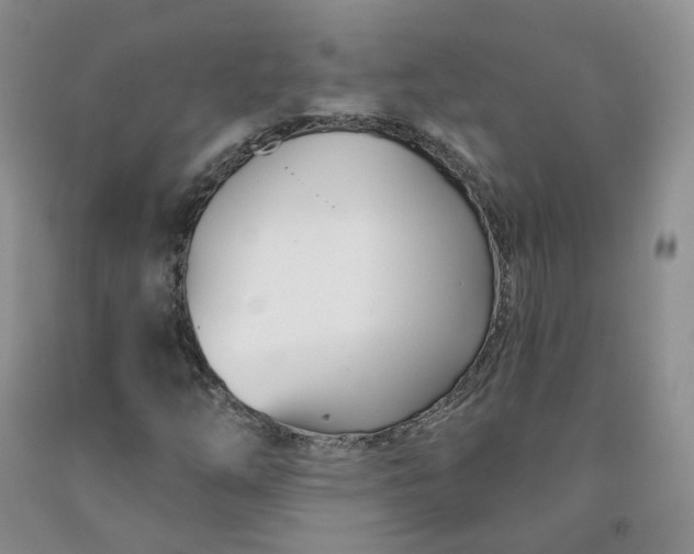X0000091991254200709201440
