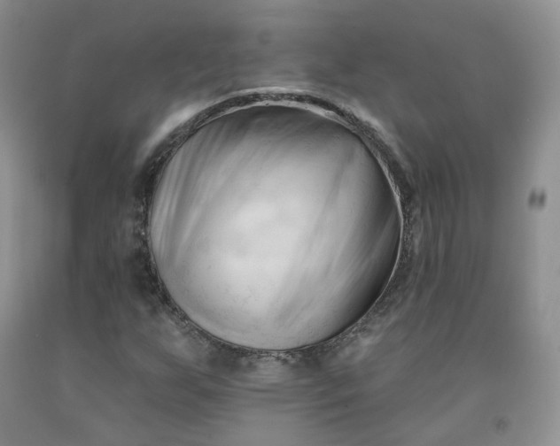 X0000091991255200709201440