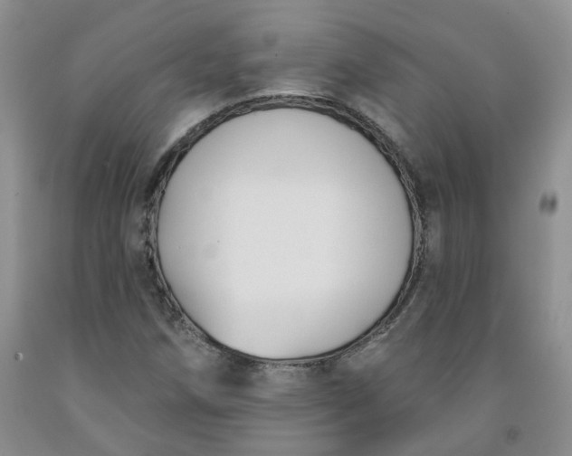 X0000091991258200709201440