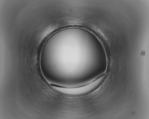 X0000091991261200709201440