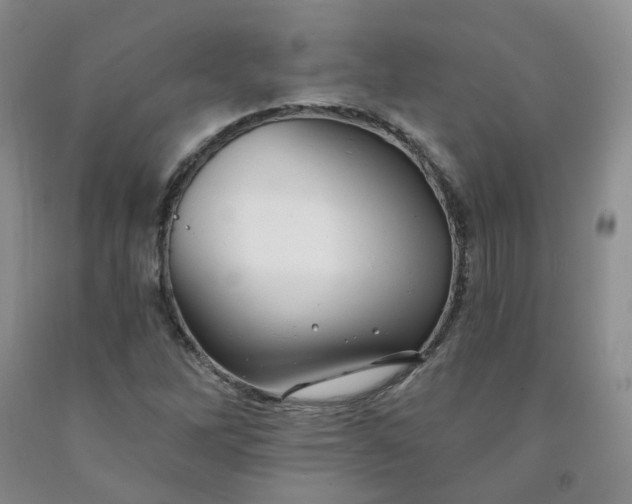 X0000091991262200709201440
