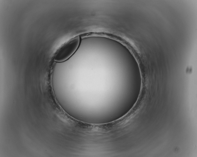 X0000091991263200709201440