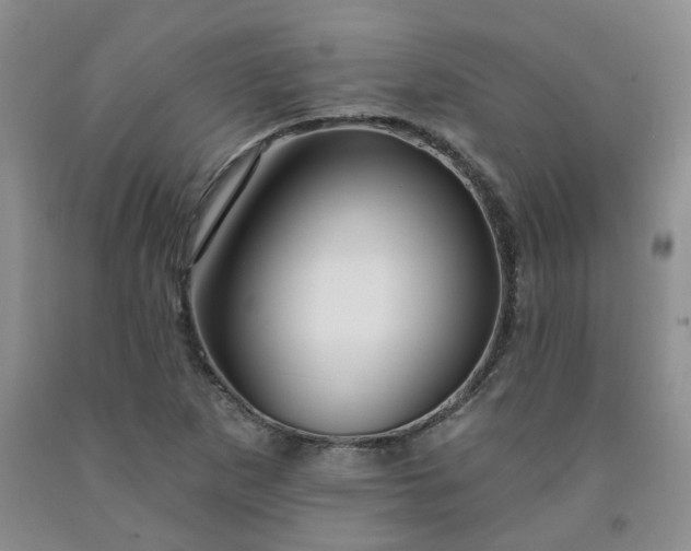 X0000091991265200709201440