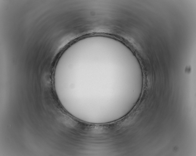X0000091991266200709201440