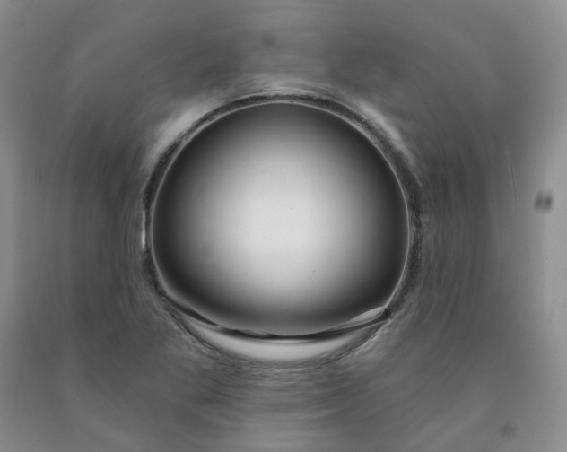 X0000091991269200709201440