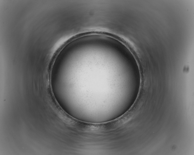 X0000091991271200709201440