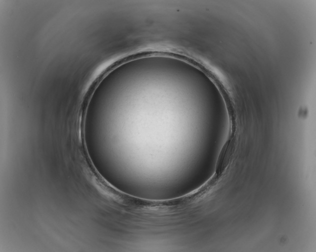 X0000091991272200709201440