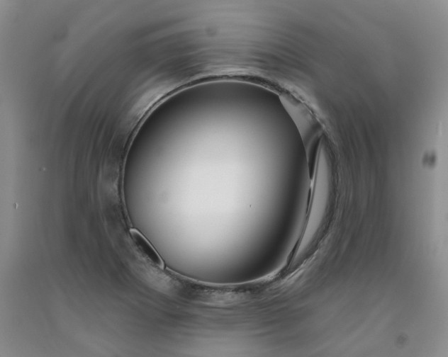 X0000091991273200709201440